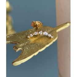 Boucle oreille rivière...